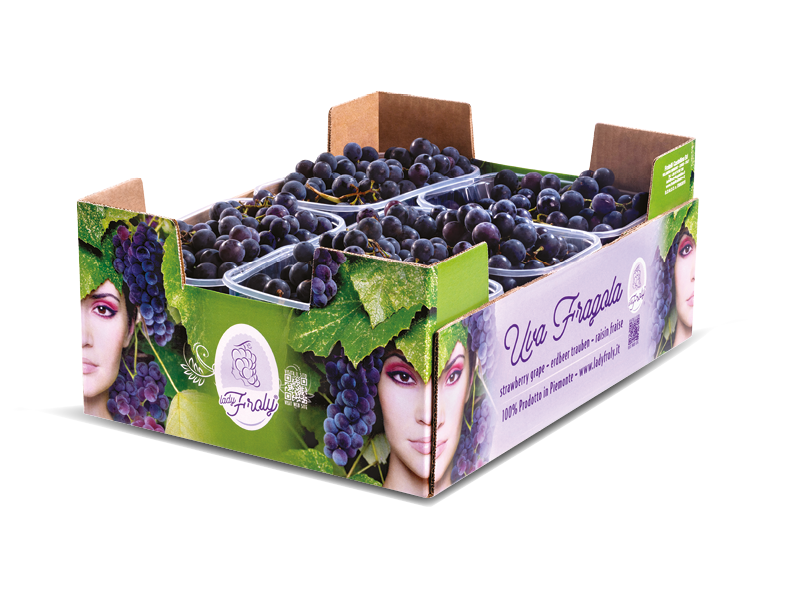 Cassetta di uva fragola Piemonte Lady Froly